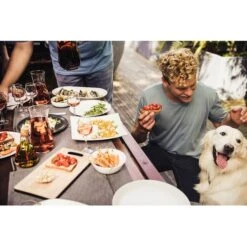 Campingaz Attitude 2100 EX, Gasgrill -Grill Förderung Campingaz Attitude 2100 EX Gasgrill@@1crcm00w 17