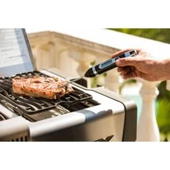 Napoleon Digital Thermometer -Grill Förderung Napoleon Digital Thermometer@@9ggzzn0v 2