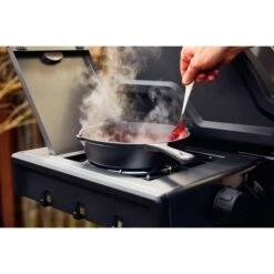 Napoleon Gasgrill Freestyle 365 SB Graphit, Mit Seitenbrenner -Grill Förderung Napoleon Gasgrill Freestyle 365 SB Graphit mit Seitenbrenner@@1680027 17