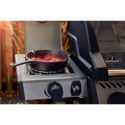 Napoleon Gasgrill Freestyle 365 SB Graphit, Mit Seitenbrenner -Grill Förderung Napoleon Gasgrill Freestyle 365 SB Graphit mit Seitenbrenner@@1680027 18