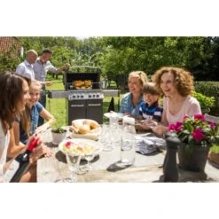 Napoleon Gasgrill Prestige 500 Charcoal Grau -Grill Förderung Napoleon Gasgrill Prestige 500 Charcoal Grau@@9ggfen0q 18