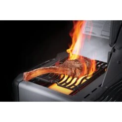 Napoleon Gasgrill Prestige 500 Charcoal Grau -Grill Förderung Napoleon Gasgrill Prestige 500 Charcoal Grau@@9ggfen0q 7