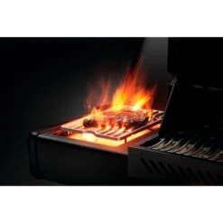 Napoleon Gasgrill Prestige 500 Phantom, Mit SIZZLE ZONE -Grill Förderung Napoleon Gasgrill Prestige 500 Phantom mit SIZZLE ZONE@@1872826 19