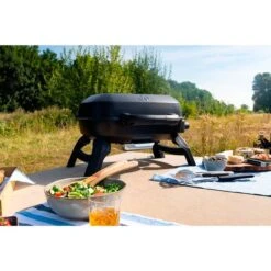 Napoleon Gasgrill TRAVELQ 240 32 Napoleon Gasgrill TRAVELQ 240 -Grill Förderung Napoleon Gasgrill TRAVELQ 240@@1872821 13