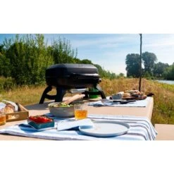 Napoleon Gasgrill TRAVELQ 240 33 Napoleon Gasgrill TRAVELQ 240 -Grill Förderung Napoleon Gasgrill TRAVELQ 240@@1872821 14