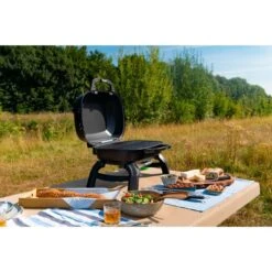 Napoleon Gasgrill TRAVELQ 240 35 Napoleon Gasgrill TRAVELQ 240 -Grill Förderung Napoleon Gasgrill TRAVELQ 240@@1872821 16