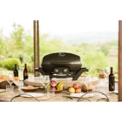 Napoleon Gasgrill TravelQ PRO285 32 Napoleon Gasgrill TravelQ PRO285 -Grill Förderung Napoleon Gasgrill TravelQ PRO285@@9ggfen0o 13