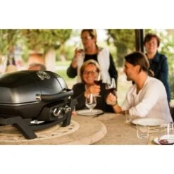 Napoleon Gasgrill TravelQ PRO285 34 Napoleon Gasgrill TravelQ PRO285 -Grill Förderung Napoleon Gasgrill TravelQ PRO285@@9ggfen0o 15