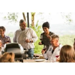 Napoleon Gasgrill TravelQ PRO285 35 Napoleon Gasgrill TravelQ PRO285 -Grill Förderung Napoleon Gasgrill TravelQ PRO285@@9ggfen0o 16