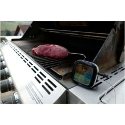TFA Digitales Grill-Bratenthermometer 14.1509 -Grill Förderung TFA Digitales Grill Bratenthermometer 14 1509@@1914083 2
