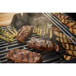Weber Gasgrill Spirit E-215 GBS Black -Grill Förderung Weber Gasgrill Spirit E 215 GBS Black@@1694187 10