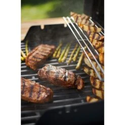 Weber Gasgrill Spirit E-215 GBS Black -Grill Förderung Weber Gasgrill Spirit E 215 GBS Black@@1694187 11