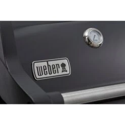 Weber Gasgrill Spirit E-215 GBS Black -Grill Förderung Weber Gasgrill Spirit E 215 GBS Black@@1694187 9