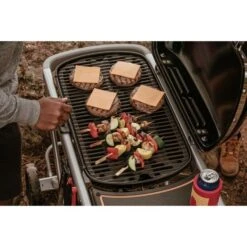 Weber Gasgrill Traveler Black 32 Weber Gasgrill Traveler Black -Grill Förderung Weber Gasgrill Traveler Black@@1694181 10