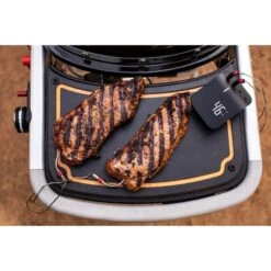 Weber Gasgrill Traveler Black 30 Weber Gasgrill Traveler Black -Grill Förderung Weber Gasgrill Traveler Black@@1694181 8