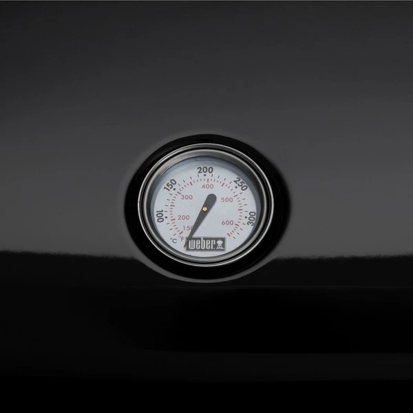 Weber Lumin Elektrogrill Mit Stand 6 Weber Lumin Elektrogrill Mit Stand – Bild 4