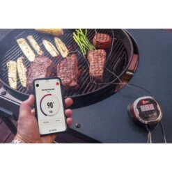 Weber IGrill 2 Mit Zwei Messfühlern 7221, Thermometer -Grill Förderung Weber iGrill 2 mit zwei Messf hlern 7221 Thermometer@@1303166 10