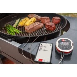 Weber IGrill 2 Mit Zwei Messfühlern 7221, Thermometer -Grill Förderung Weber iGrill 2 mit zwei Messf hlern 7221 Thermometer@@1303166 8
