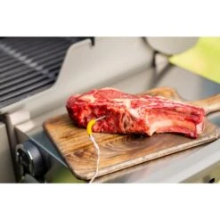 Weber IGrill Pro Messfühler Für Grillgut, Thermometer -Grill Förderung Weber iGrill Pro Messf hler f r Grillgut Thermometer@@1303168 8