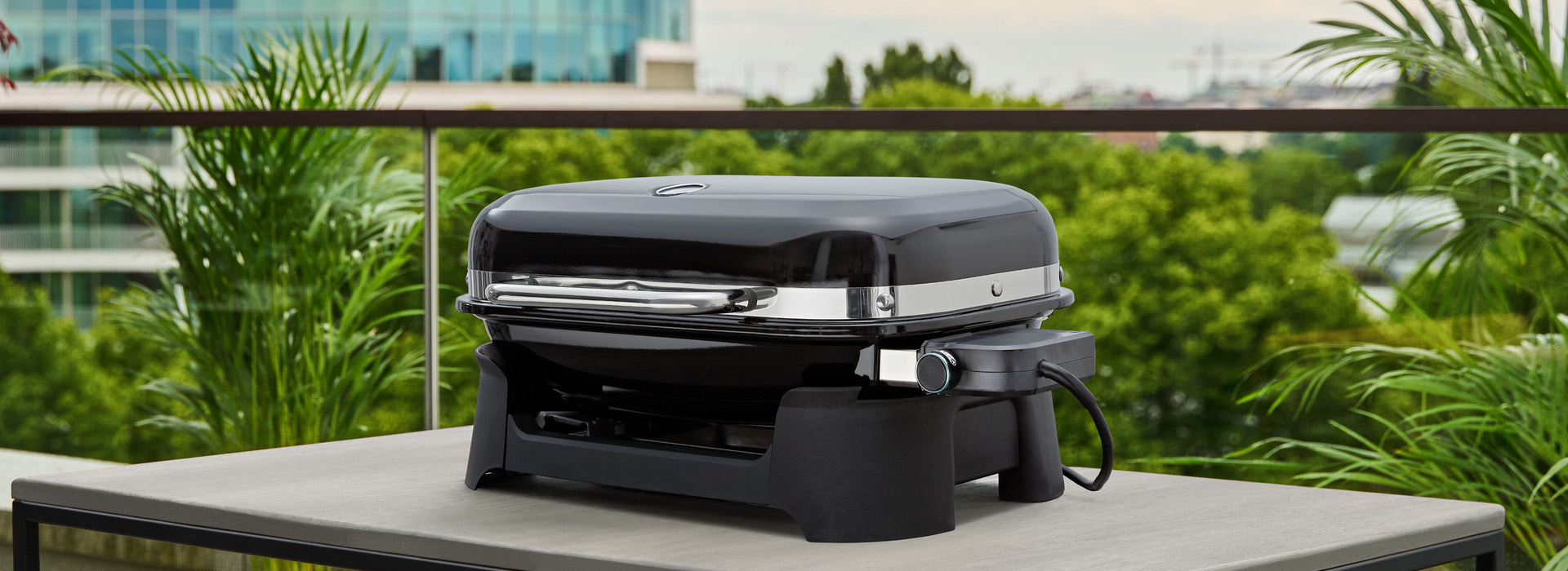 Grill Förderung -Grill Förderung 1